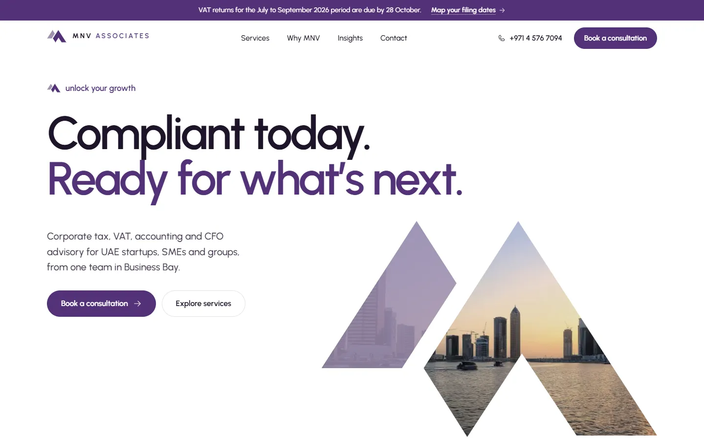 MNV Associates, advisory firm homepage