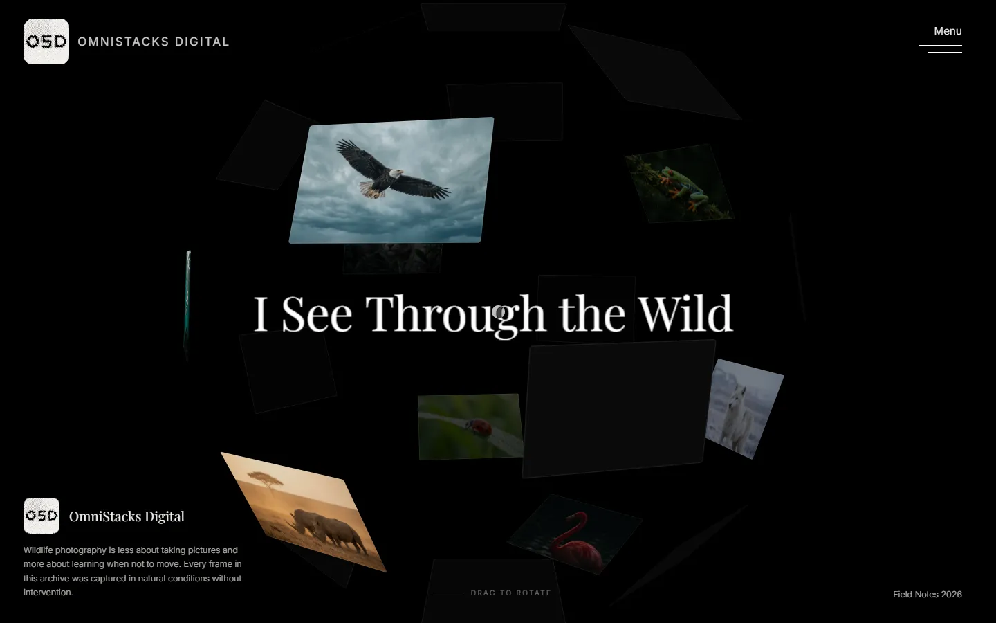 I See Through the Wild, photography website