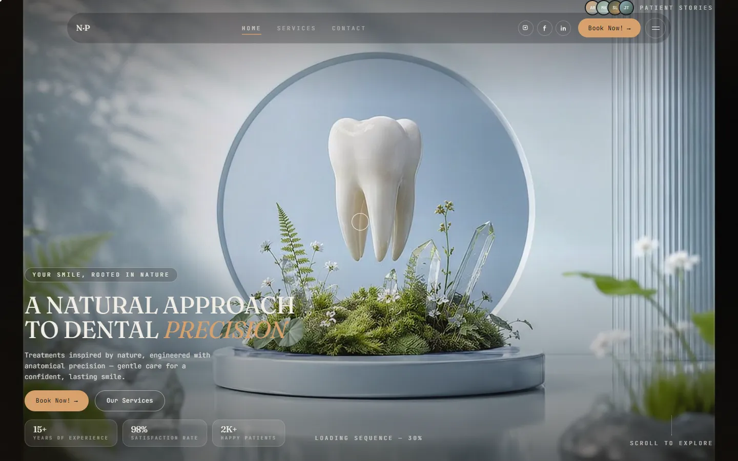 N/P Dental, clinic website